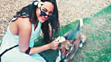 Sonakshi Sinha calls people abandoning pet dogs 'idiots'