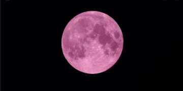 Super pink moon, pink moon, super moon, super pink moon india