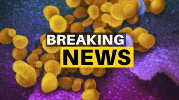 Coronavirus Live Updates, April 24, 2020: Follow this breaking news blog for live updates on coronavirus and stay informed on its global economic fallout.