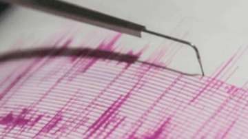 5.3-magnitude earthquake jolts Japan's Fukushima (Representational image)