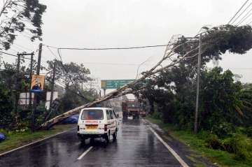 South 24 Parganas: A tree falls on power lines during strong winds due to Cyclone Amphan at Kakdwip near Sunderbans area in South 24 Parganas district of West Bengal, Wednesday, May 20, 2020.