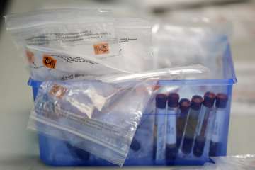 Before being sent to a lab, blood samples from COVID-19 antibody tests are packed in a container at 