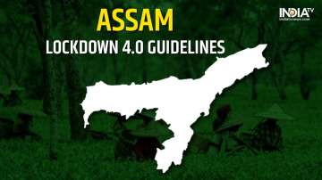 Assam lockdown 4.0 guidelines: Female employees with children below 5 yrs of age not to attend offic