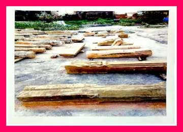 Ancient idols, shiv ling, found during Ram Mandir site excavation in Ayodhya