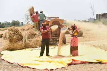 Govt extends crop loan repayment date till Aug 31; prompt re-payers to benefit