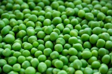 4,000 tonnes of peas procured in Himachal Pradesh's Solan amid lockdown