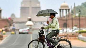 Max temp in Delhi below 40 degrees, heat wave unlikely in NCR till June 8: IMD 