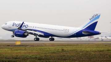 IndiGo transports over 50 tonnes of cargo between India and Singapore