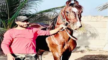 Ravindra Jadeja's passion for horses comes to fore again amid lockdown
