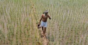 Lockdown: Maharashtra farmers seek Thackeray's nod to access land