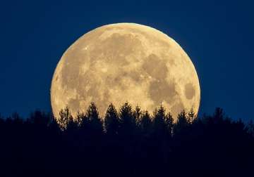 The full moon sets behind trees in the Taunus region near Frankfurt, Germany