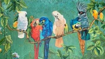 Vastu Tips: Putting picture of a parrot in this increases concentration in studies