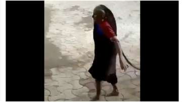 Shocking video of granny dragging Cobra and throwing it away amuses netizens: What a gutsy lady