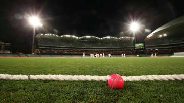 India to play day-night Test in Adelaide during Australia tour: Report