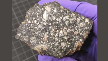 Moon for sale: Buy piece of one lunar meteorite for just $2.5 million