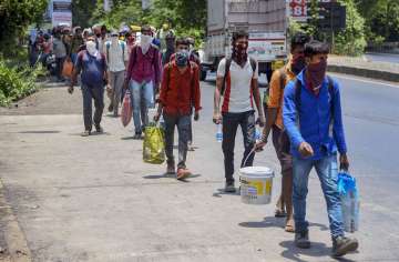 Waive one-way ticket charges of migrants or levy fare from state govt: Gujarat HC directs Railways