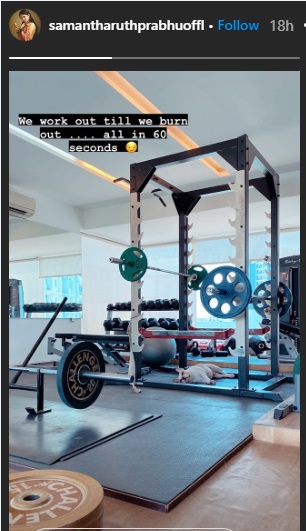 Samantha Akkineni Reveals She Joined The Gym To Check Out Naga