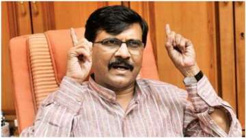 Sharad Pawar meets CM Uddhav Thackeray, Maharashtra govt firmly in saddle: Sanjay Raut