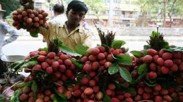 Bihar govt, postal department join hands for online delivery of 'Shahi Litchi'