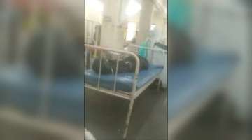 Sion hospital video, Sion hospital shocking video, Sion hospital bodies lying next to coronavirus vi