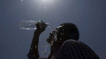 India prone to emerging weather event combining extreme heat, humidity: Study