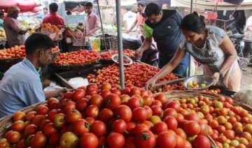 Tomato prices 