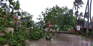 Trees lie uprooted on a highway from heavy winds ahead of Cyclone Amphan landfall, at Chandbali on the Bay of Bengal coast in Odisha, Wednesday, May 20, 2020. A powerful cyclone is moving toward India and Bangladesh as authorities try to evacuate millions of people while maintaining social distancing. Cyclone Amphan is expected to make landfall on Wednesday afternoon, May 20, 2020, and forecasters are warning of extensive damage from high winds, heavy rainfall, tidal waves and some flooding in crowded cities like Kolkata. (AP Photo)