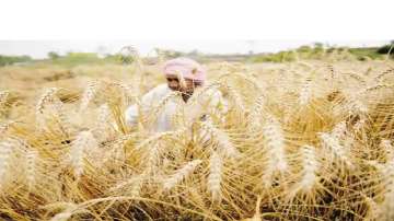 Telangana farmer gets over Rs 7 lakh power bill for lockdown period