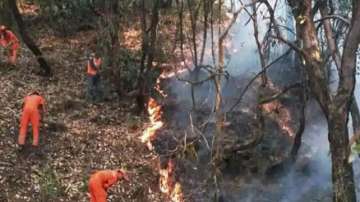 A file photo of forest fighters in Uttarakhand dousing a forest fire in Kotdwar back in 2016 (representational image)