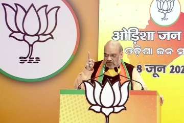 amit shah, amit shah speech, amit shah virtual rally, india border dispute, borders no child play, a