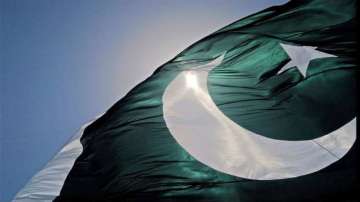 Representational image of Pakistan flag
