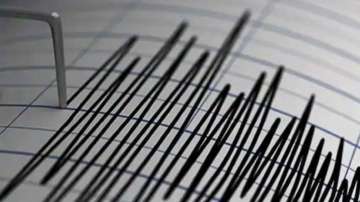 Earthquake of magnitude 5.8 jolts Indonesia