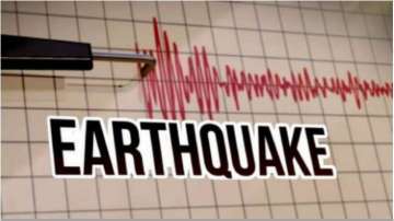 Low intensity earthquake tremors felt in Rohtak, Haryana