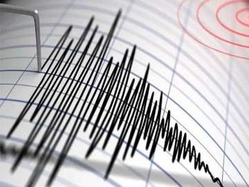 Earthquake of 5.8 magnitude hits Gujarat's Rajkot