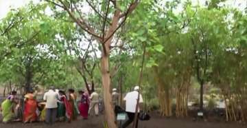 World Environment Day: How Punekars turned a barren piece of land into a green forest
