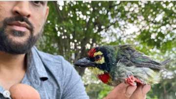 MS Dhoni with the bird