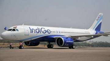 IndiGo aircraft parked at Mumbai airport hit by step ladder amid strong winds