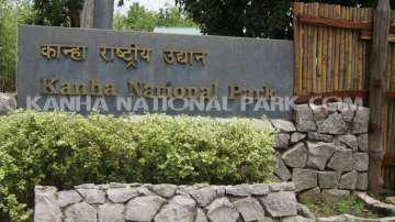 Kanha National Park in MP reopens for tourists amid coronavirus situation 