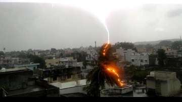Cyclone Nisarga: Lightning strikes Bhavnagar as heavy rain lashes Gujarat