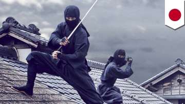 Want a degree in Ninja studies? It is now possible to major in stealth fighting