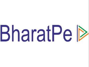 BharatPe launches BharatX to 'incubate radical ideas'
