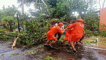 NDRF personnel clear uprooted trees from a road following gusty winds as Cyclone Nisarga makes landfall, at Alibag, in Raigad. Cyclone Nisarga made landfall near Maharashtra's coastal town of Alibag, around 100 kilometers (60 miles) south of Mumbai, on Wednesday afternoon