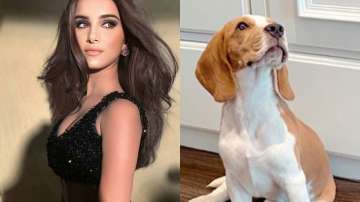 Tara Sutaria and sister Pia welcome home a Beagle, Aadar Jain names him Bailey