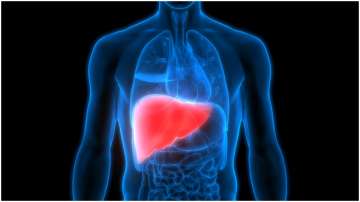 Why women are less likely to die of liver cirrhosis than men