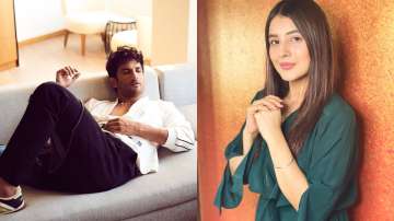 Bigg Boss 13 fame Shehnaaz Gill shares thought-provoking post after Sushant Singh Rajput's death