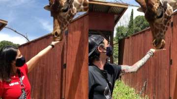 Sunny Leone, husband Daniel Weber and kids enjoy giraffe feeding in new video. Seen yet?