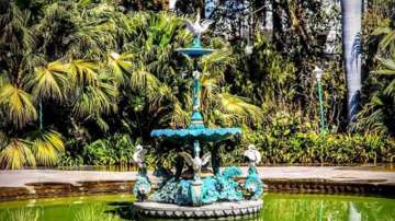Vastu Tips: Keeping these things in mind while putting a fountain in the garden will bring happiness