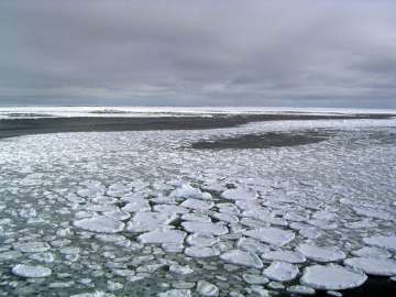 This January 2017 photo provided by Ted Scambos shows sea ice on the ocean surrounding Antarctica du