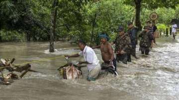 Assam floods death toll,assam,assam death toll,