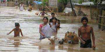 Assam flood situation grim; death toll rises to 97, over 26 lakh in distress